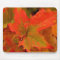Autumn leaf pad