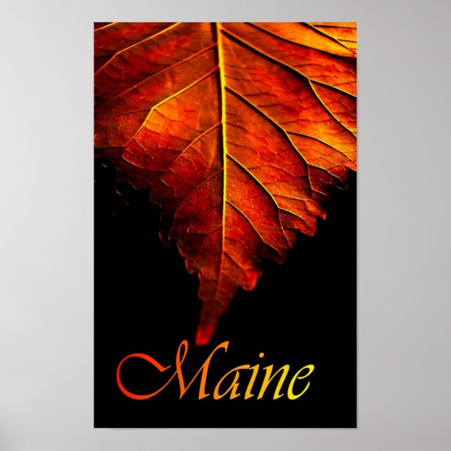 Autumn Leaf Poster | Fall Leaf Poster (Front)