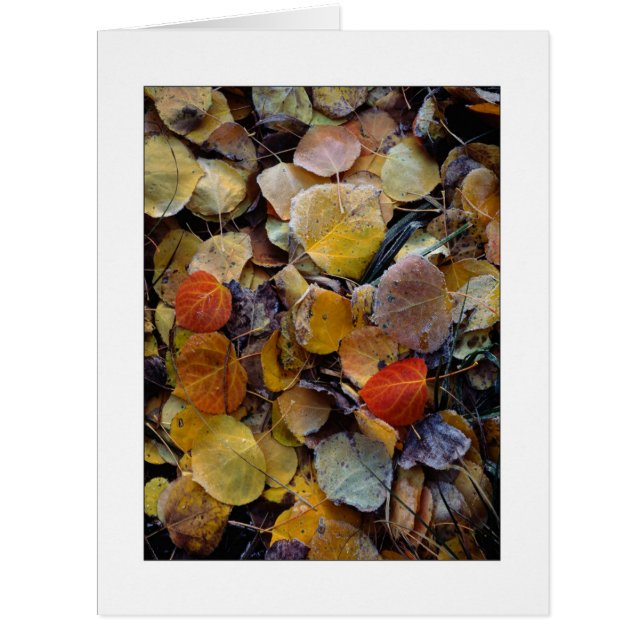 "Autumn Leaf Puzzle" Cards (Front)