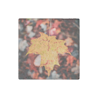 Autumn Leaf Stone Magnet
