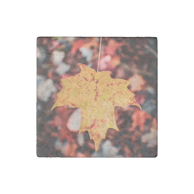 Autumn Leaf Stone Magnet (Front)