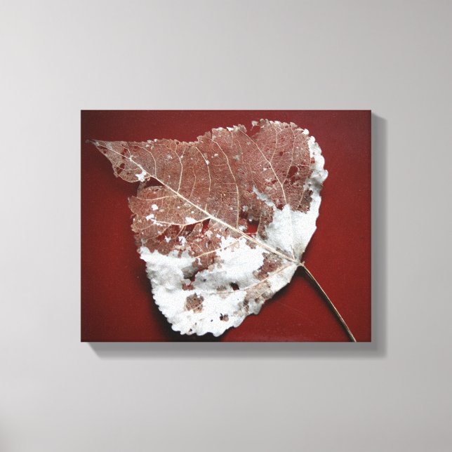 Autumn Leaf Wrapped Canvas Print (Front)