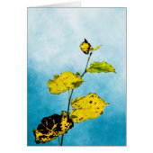 Autumn Leaves (Front)