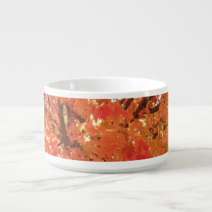 Autumn Leaves 1 Bowl