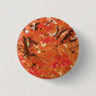 Autumn Leaves 1 Button