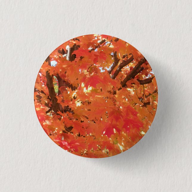 Autumn Leaves 1 Button (Front)