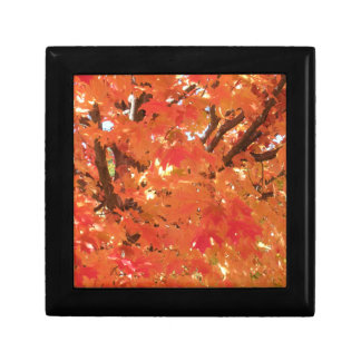 Autumn Leaves 1 Gift Box