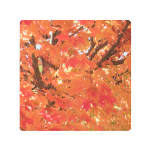 Autumn Leaves 1 Metal Print