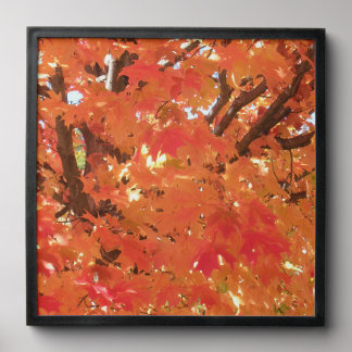 Autumn Leaves 1 Peel And Stick Photo Tile