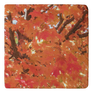 Autumn Leaves 1 Trivet