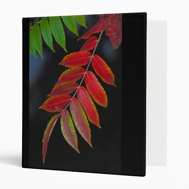 autumn leaves 3 ring binder (Front/Inside)