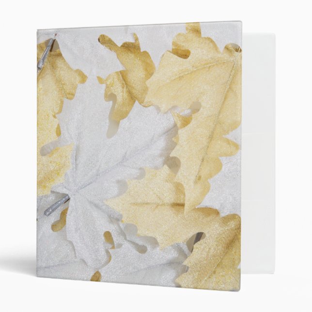 Autumn Leaves 3 Ring Binder (Front/Inside)