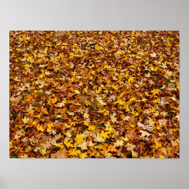 Autumn Leaves Abstract Poster (Front)