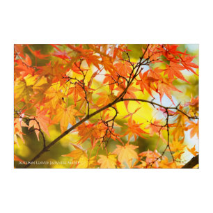 Autumn Leaves [Acrylic Wall Art] Acrylic Print