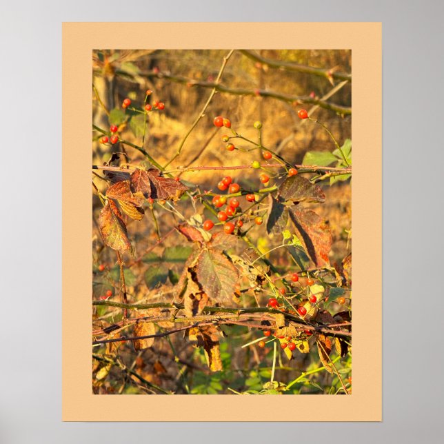 Autumn Leaves and Berries Poster (Front)