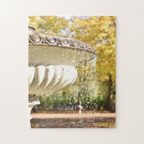 Autumn Leaves and Fountain Regents Park London UK Jigsaw Puzzle