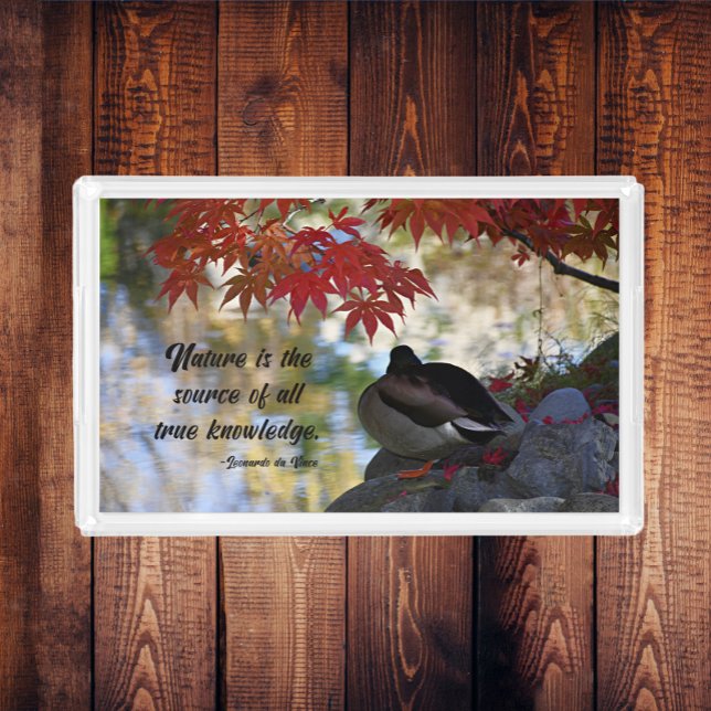 Autumn Leaves and Mallard Duck with Nature Quote Acrylic Tray (In Situ)