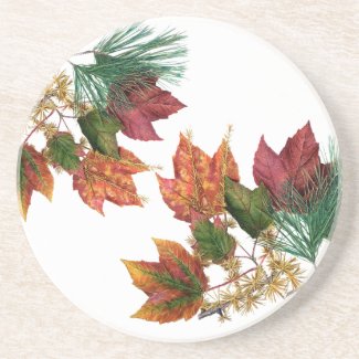 Autumn Leaves and Pine Sandstone Drink Coaster