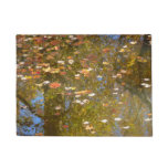 Autumn Leaves and Stream Reflection at Greenbelt Doormat