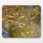 Autumn Leaves and Stream Reflection at Greenbelt Mouse Pad