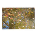 Autumn Leaves and Stream Reflection at Greenbelt Placemat