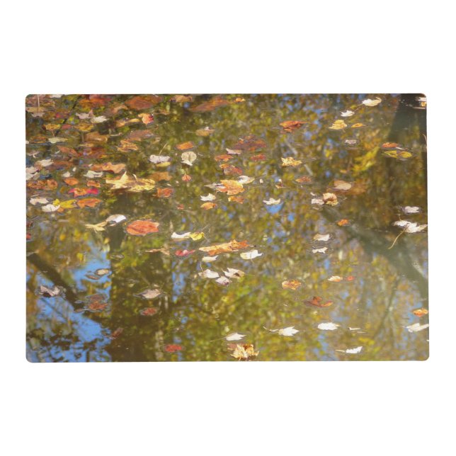 Autumn Leaves and Stream Reflection at Greenbelt Placemat (Front)
