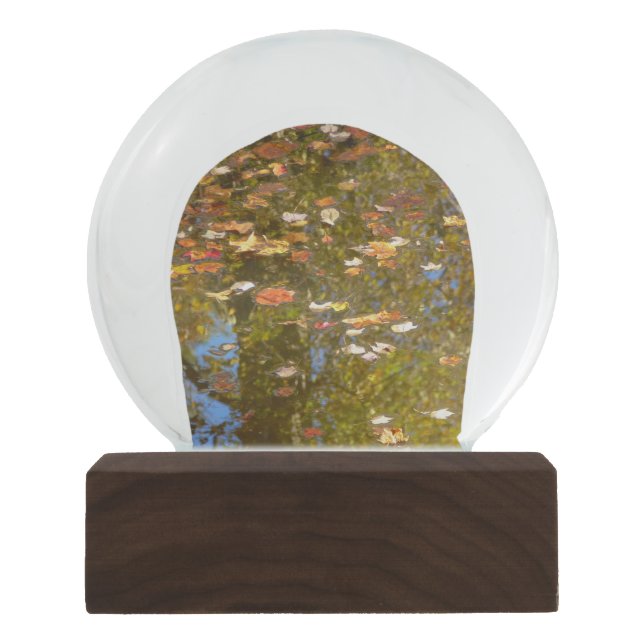 Autumn Leaves and Stream Reflection at Greenbelt Snow Globe (Front)