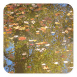 Autumn Leaves and Stream Reflection at Greenbelt Square Sticker