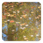 Autumn Leaves and Stream Reflection at Greenbelt Square Sticker