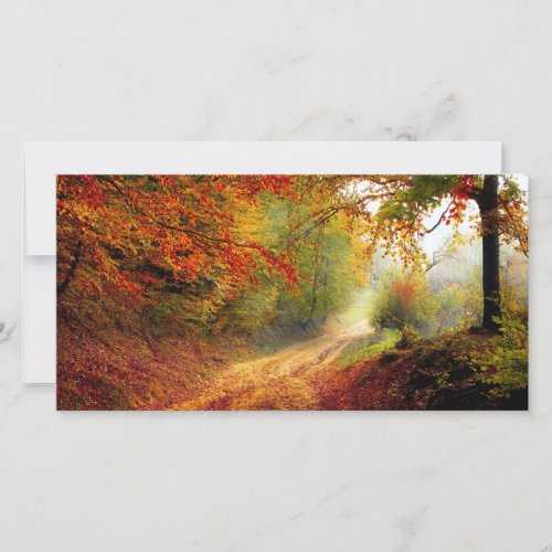 Autumn Leaves and Trees Covering Dirt Road