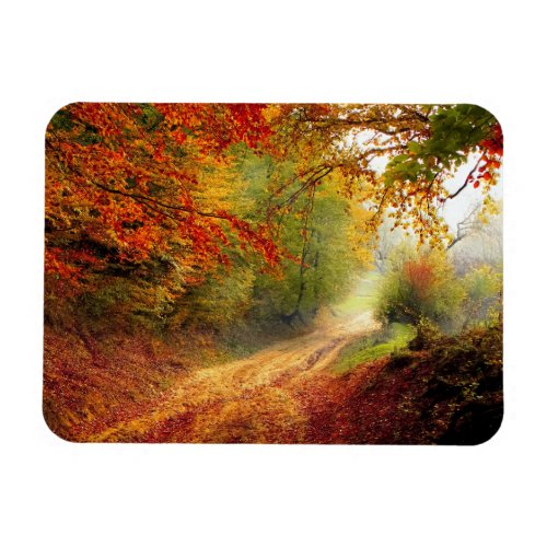 Autumn Leaves and Trees Covering Dirt Road Magnet