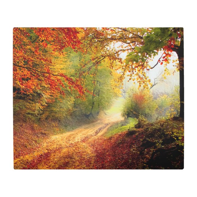 Autumn Leaves and Trees Covering Dirt Road Metal Print (Front)