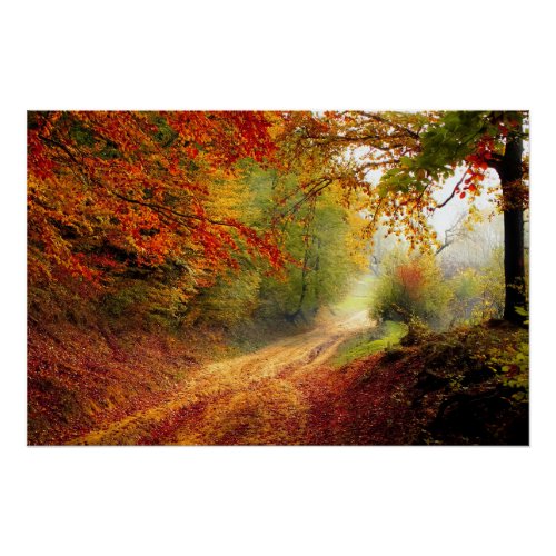 Autumn Leaves and Trees Covering Dirt Road Poster