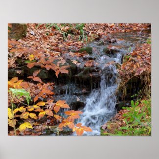 Autumn Leaves and Waterfall Photo Poster