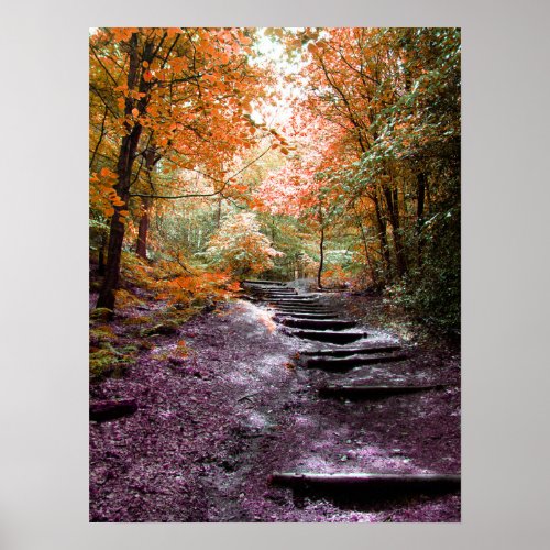 Autumn Leaves and Woodland Steps _ Poster