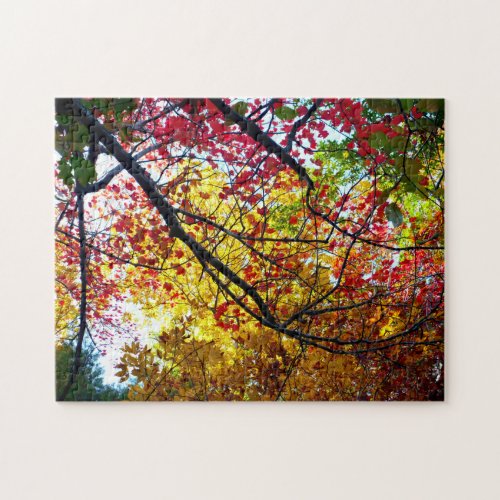 Autumn Leaves at Walden Pond Jigsaw Puzzle