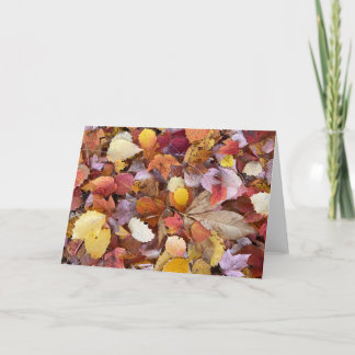 Autumn Leaves Blank Note Card