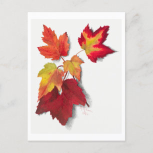 Autumn Leaves Botanical Illustration Postcard