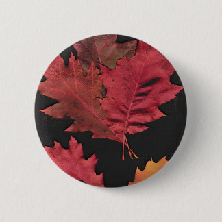Autumn Leaves Button