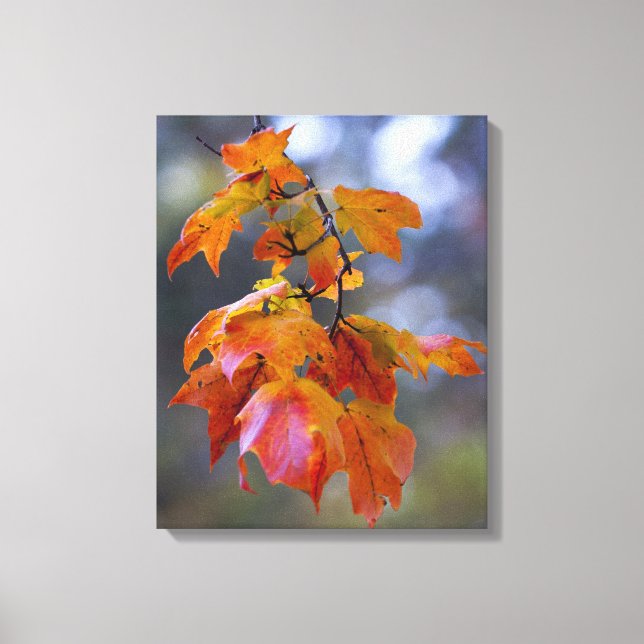 Autumn Leaves Canvas Print (Front)