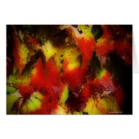 Autumn Leaves Cards (Front Horizontal)