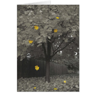 Autumn Leaves Cards