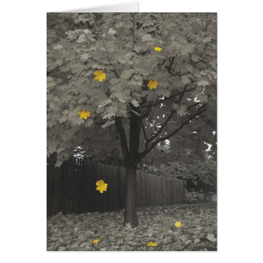 Autumn Leaves Cards (Front)