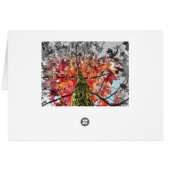 autumn leaves cards (Back Horizontal)