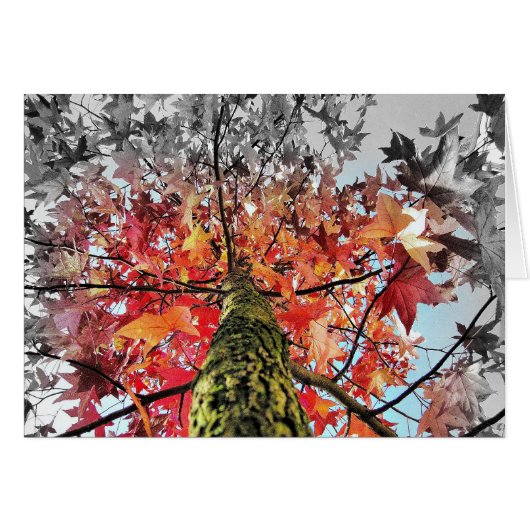 autumn leaves cards (Front Horizontal)