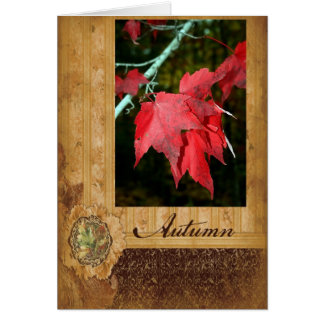 Autumn Leaves Cards