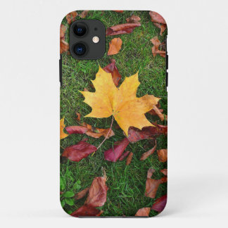 Autumn Leaves iPhone 11 Case