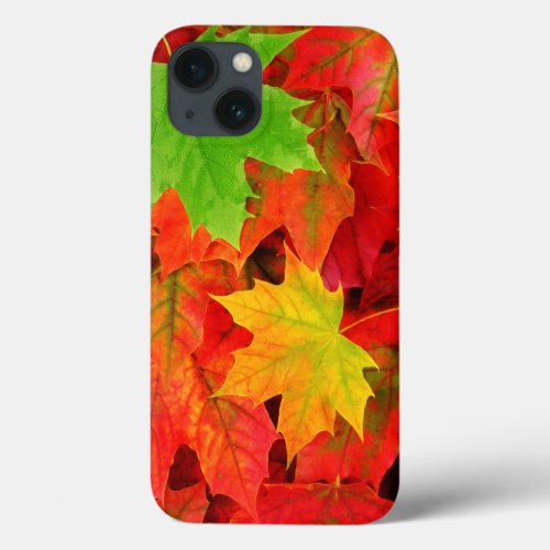 Autumn Leaves iPhone 13 Case