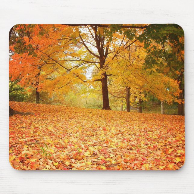 Autumn Leaves, Central Park, New York City Mouse Pad (Front)