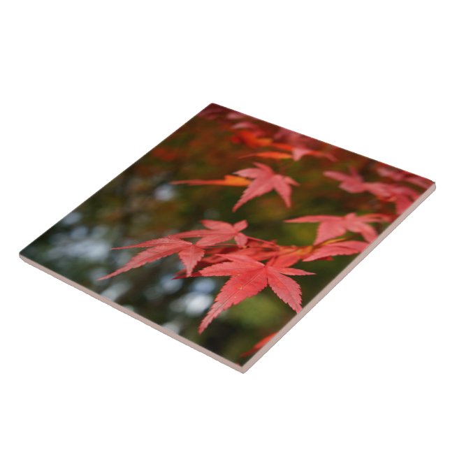 Autumn Leaves Ceramic Tile (Side)
